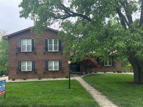  in Belleville IL 100 Paddock Road.jpg