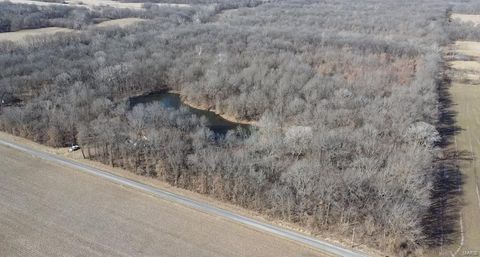  in Greenville IL 1185 Terrapin Ridge Road.jpg