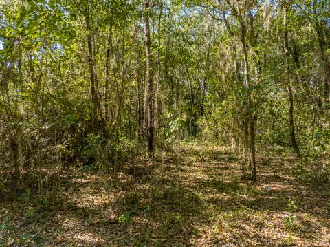 Single Family Residence in Barnwell SC Lot 24 Mallard Drive.jpg