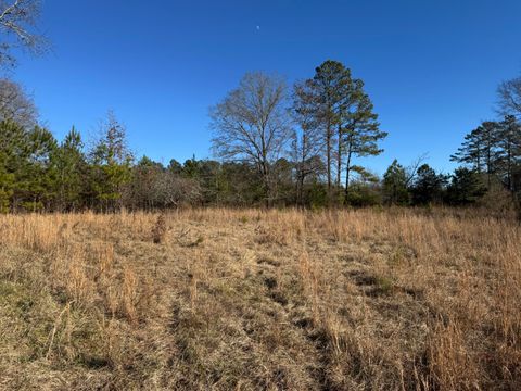 Unimproved Land in Chappells SC 964 Sc-39.jpg