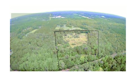 Unimproved Land in Neeses SC Xx Butler Drive.jpg