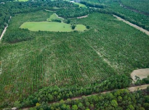 Mixed Use in Barnwell SC 4601 Seven Pines Road #Lot 4 & 1.jpg