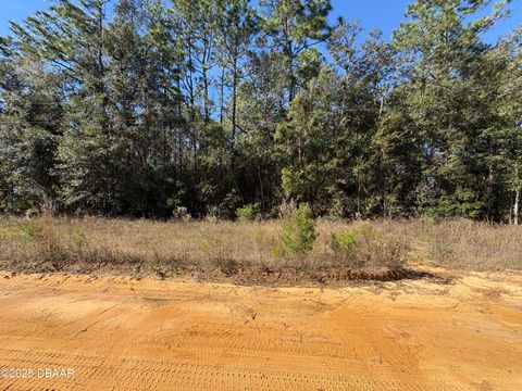 Unimproved Land in Interlachen FL 431 Brett Avenue.jpg
