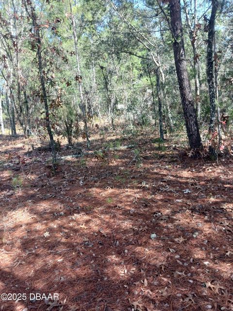 Unimproved Land in Interlachen FL LOT 11 Lake Lucy Circle.jpg