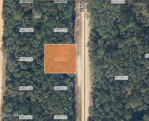 Unimproved Land in Florahome FL 1107 Usina Avenue 1.jpg