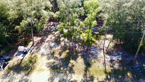 Unimproved Land in Florahome FL 1107 Usina Avenue 13.jpg