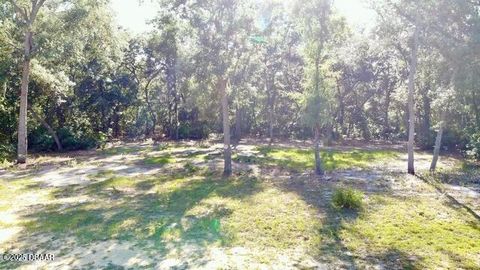 Unimproved Land in Florahome FL 1107 Usina Avenue 14.jpg