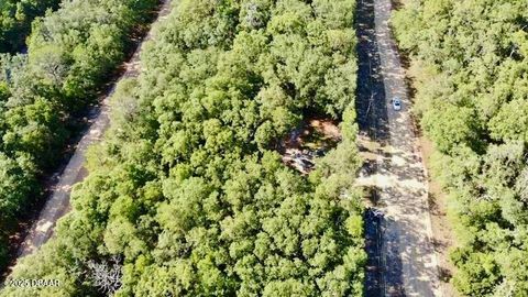 Unimproved Land in Florahome FL 1107 Usina Avenue 9.jpg