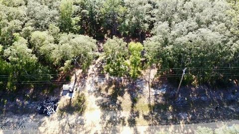 Unimproved Land in Florahome FL 1107 Usina Avenue 12.jpg