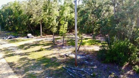Unimproved Land in Florahome FL 1107 Usina Avenue 3.jpg