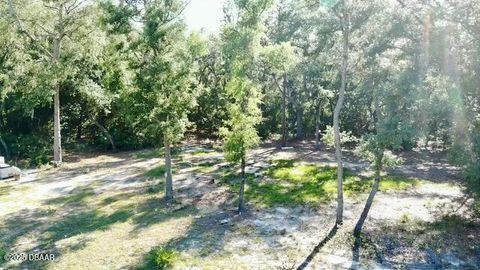 Unimproved Land in Florahome FL 1107 Usina Avenue.jpg