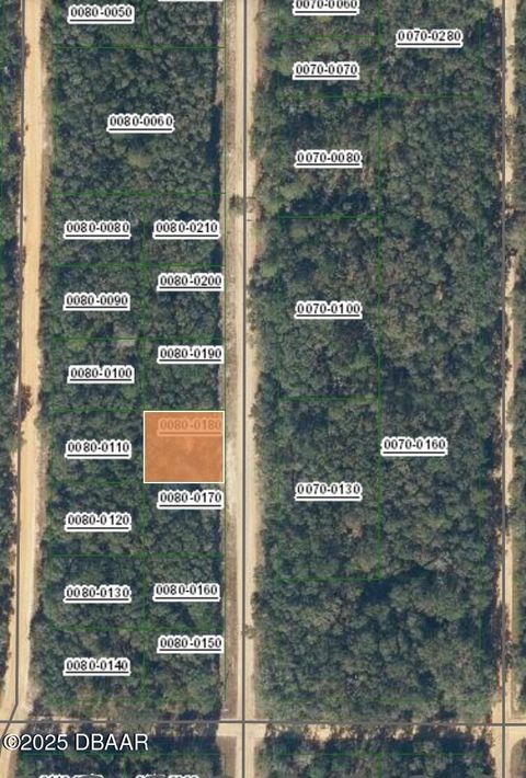 Unimproved Land in Florahome FL 1107 Usina Avenue 17.jpg