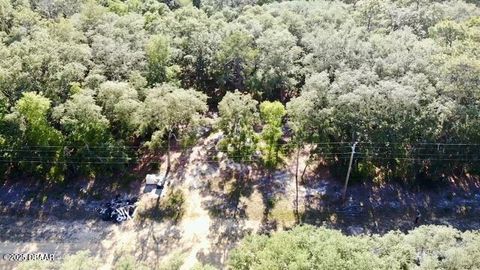 Unimproved Land in Florahome FL 1107 Usina Avenue 11.jpg