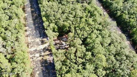 Unimproved Land in Florahome FL 1107 Usina Avenue 7.jpg