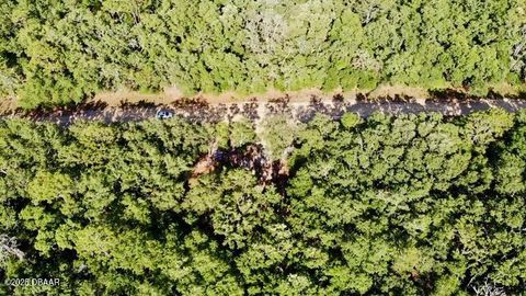 Unimproved Land in Florahome FL 1107 Usina Avenue 8.jpg