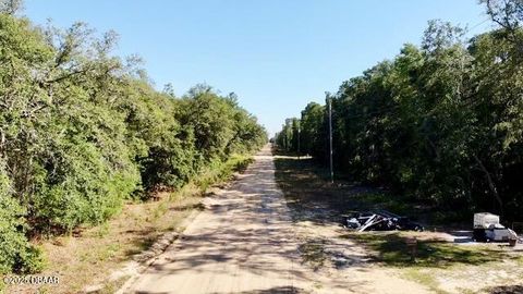 Unimproved Land in Florahome FL 1107 Usina Avenue 10.jpg
