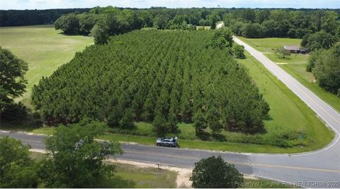  in Fairmont NC NC HWY. 904 Highway.jpg