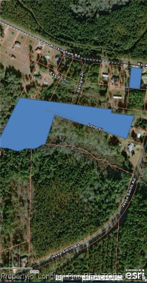  in Laurel Hill NC Long Street.jpg