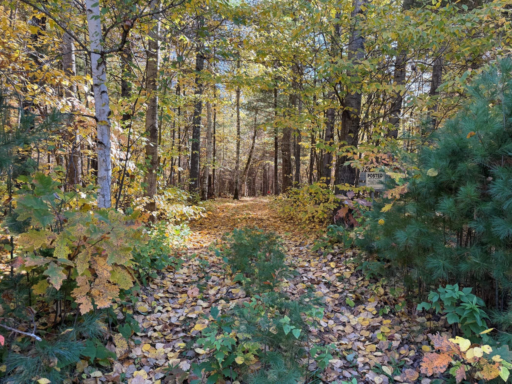 XXXX County Road 19, Merrifield, MN 56465