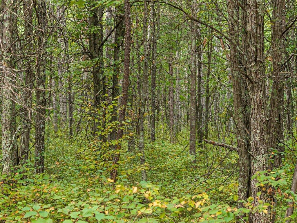 Lot A Sandbar Lane, Merrifield, MN 56465