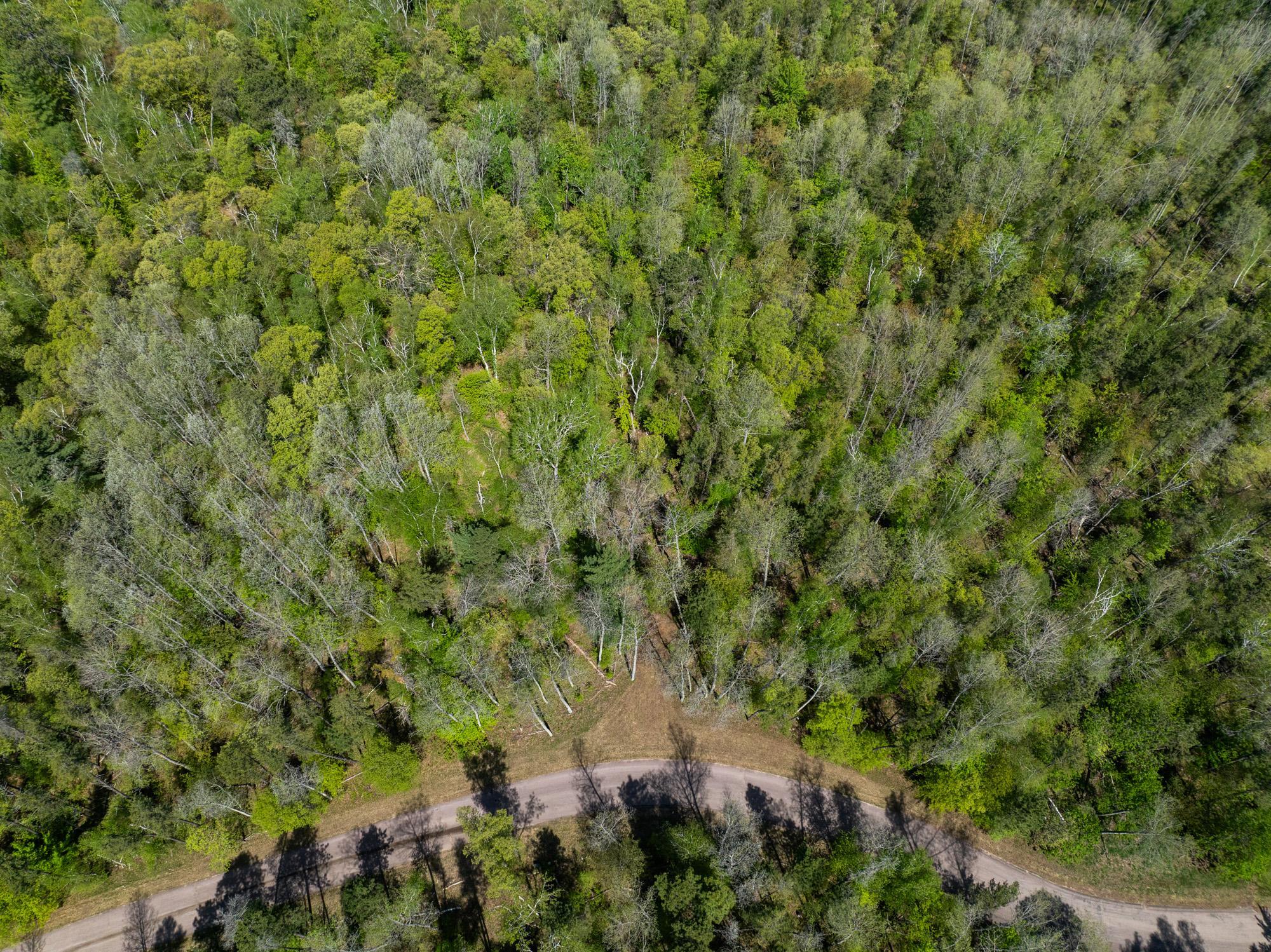 TBD Hidden Creek Ct, Pequot Lakes, MN 56472 photo