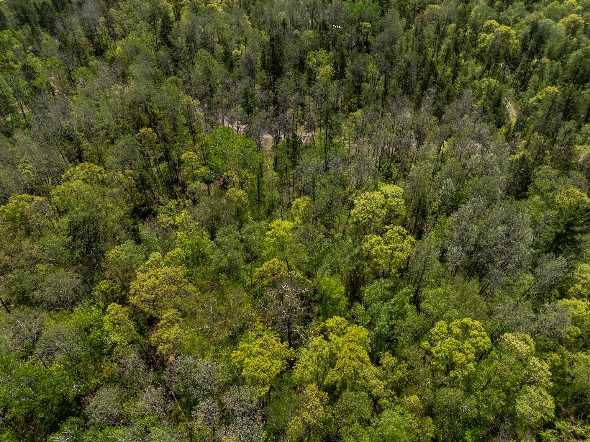 TBD Hidden Creek Ct, Pequot Lakes, MN 56472 photo