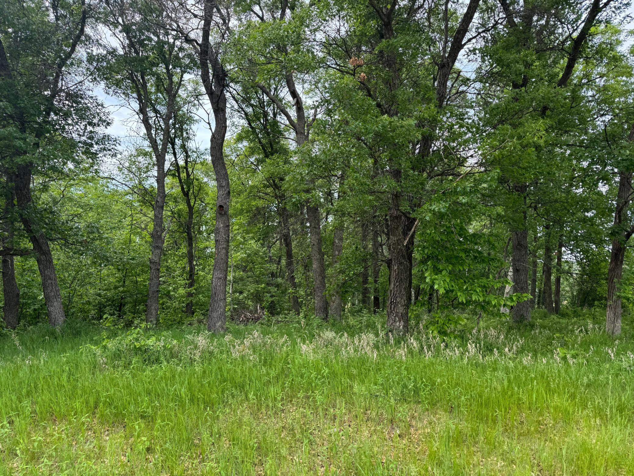 TBD Pawnee, Breezy Point, MN 56472 photo