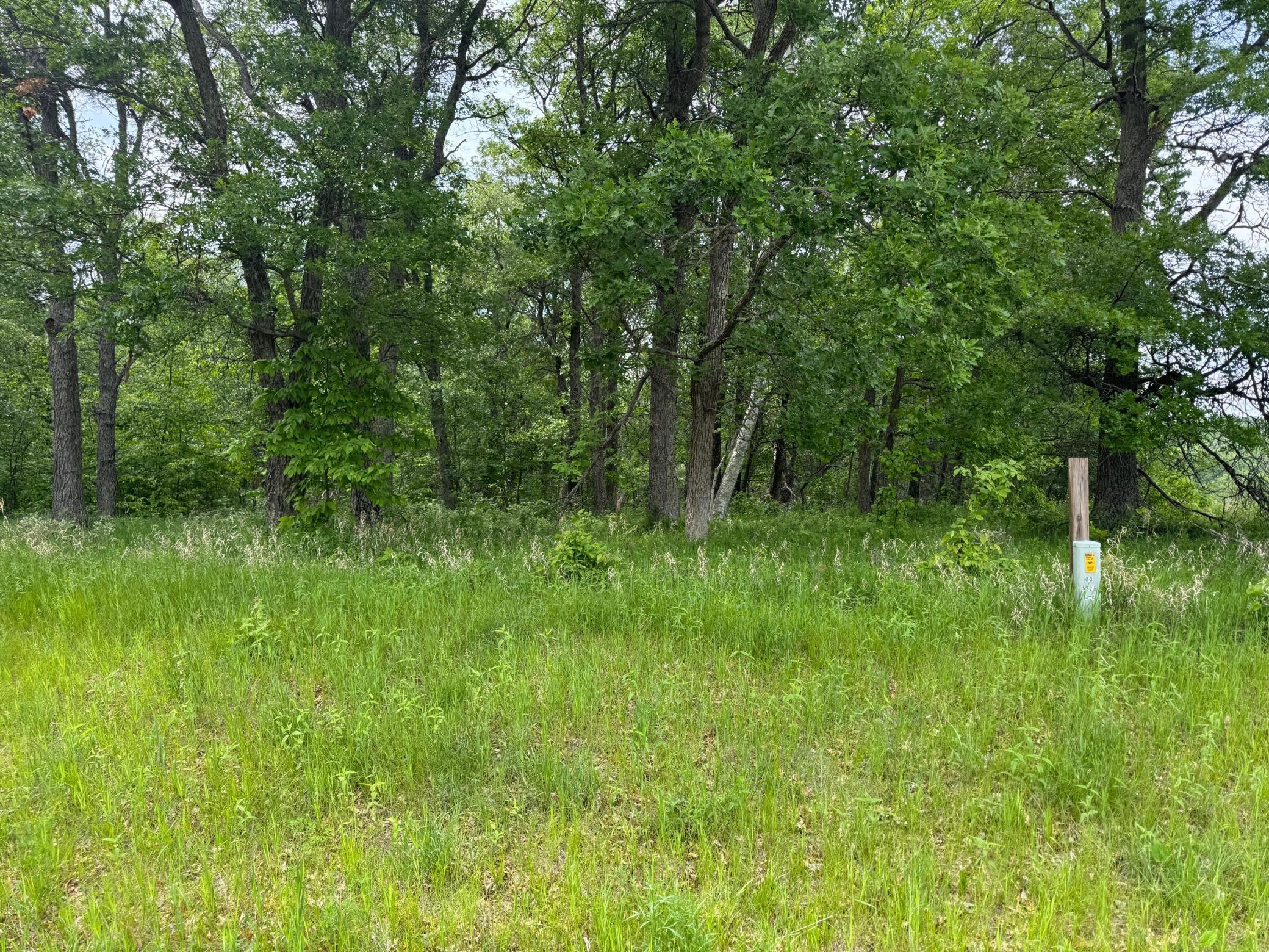 TBD Pawnee, Breezy Point, MN 56472 photo