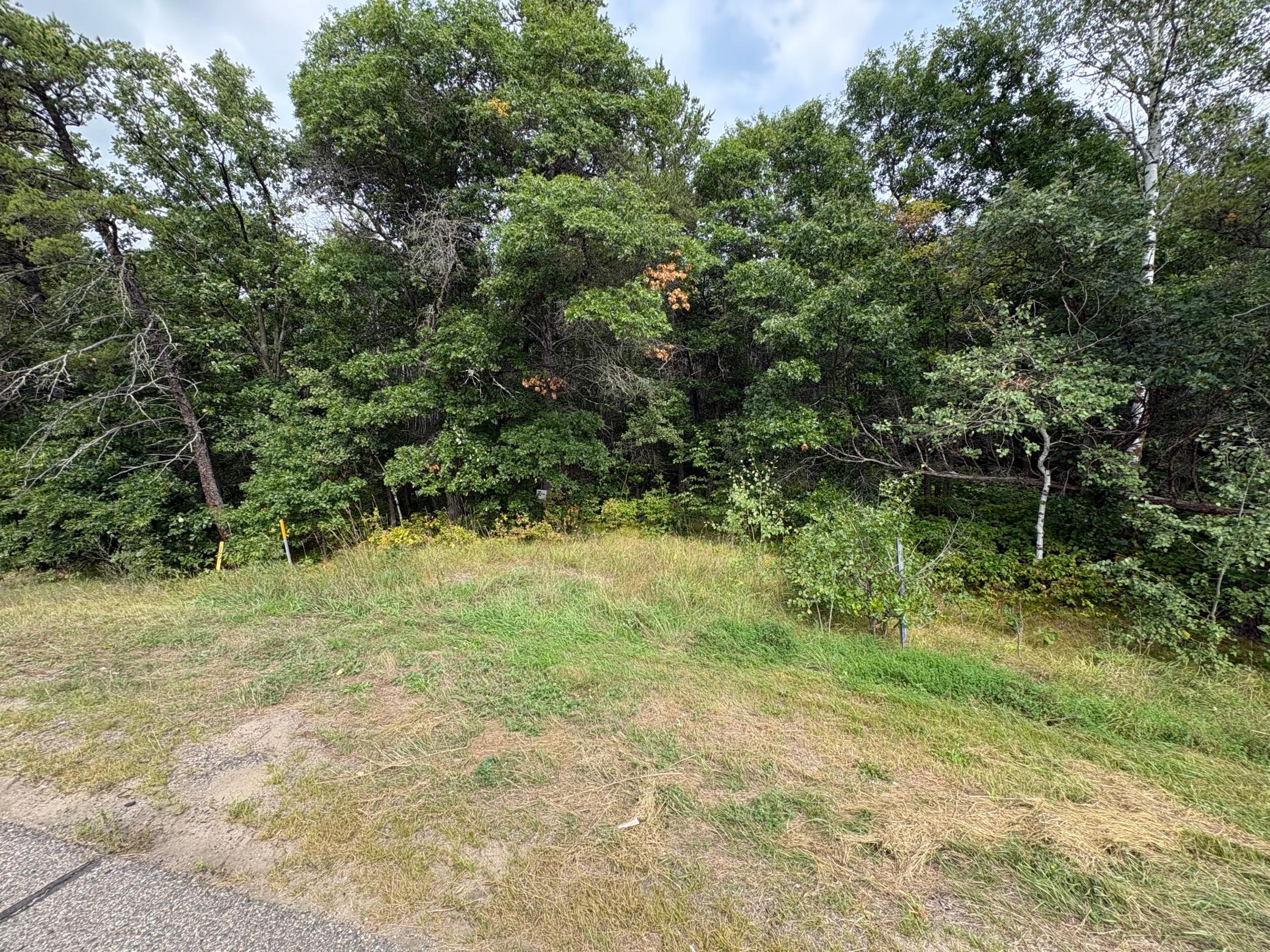 TBD State Hwy 371, Jenkins, MN 56456 photo