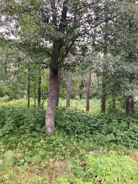 AND 40 Owl Cir, Breezy Point, MN 56472