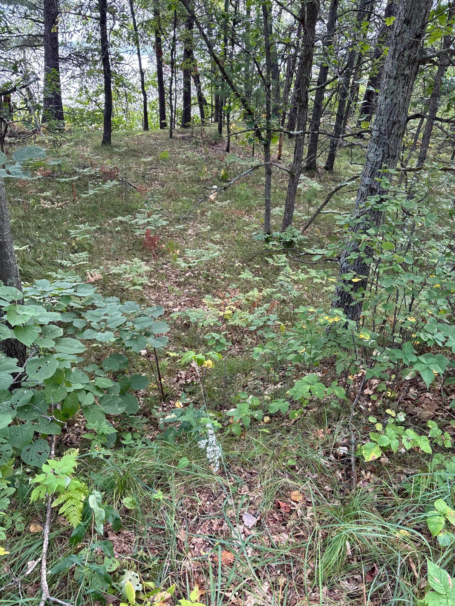 77 Airport Rd #LOT, Breezy Point, MN 56472 photo
