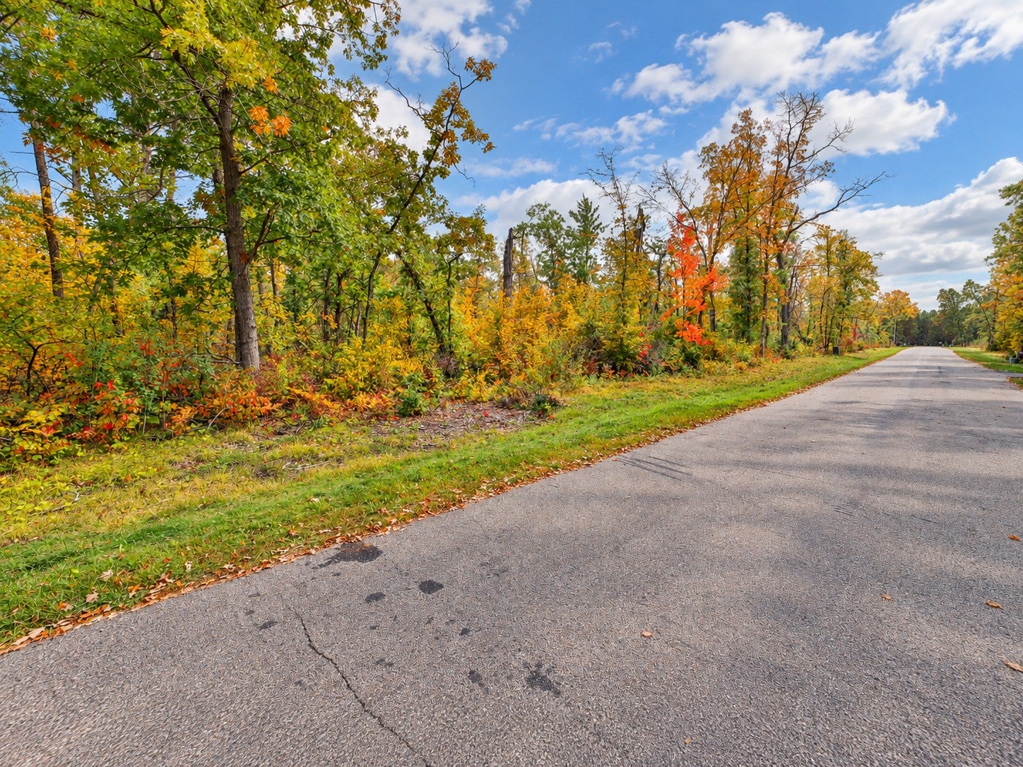 TBD Timber Ln, Pequot Lakes, MN 56472