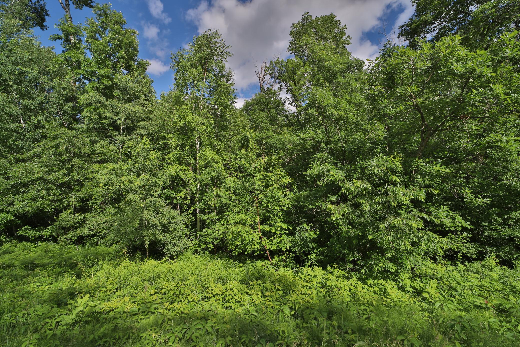 TBD Percheron Dr, Breezy Point, MN 56472