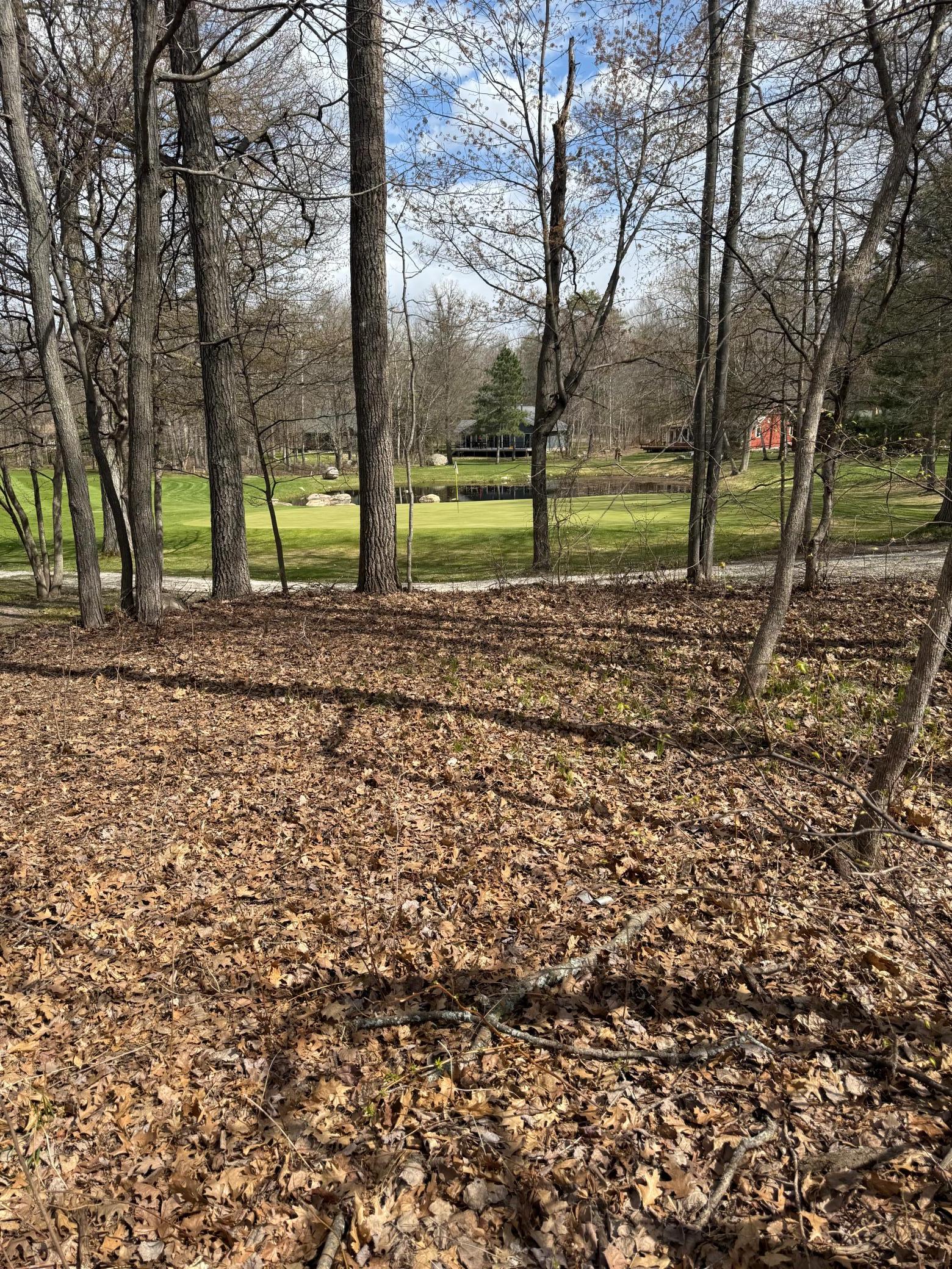 TBD County Road 16, Pequot Lakes, MN 56472 photo