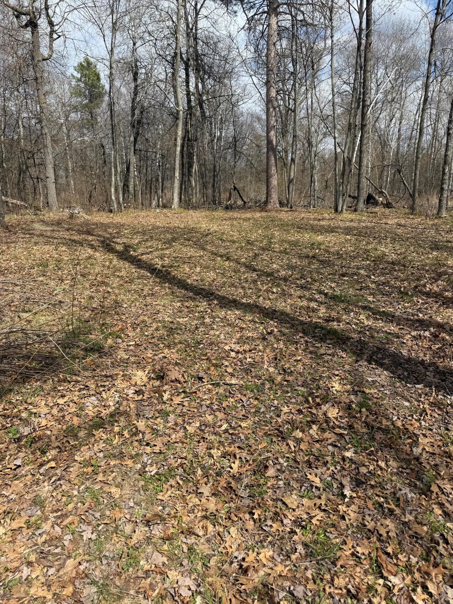 TBD County Road 16, Pequot Lakes, MN 56472 photo