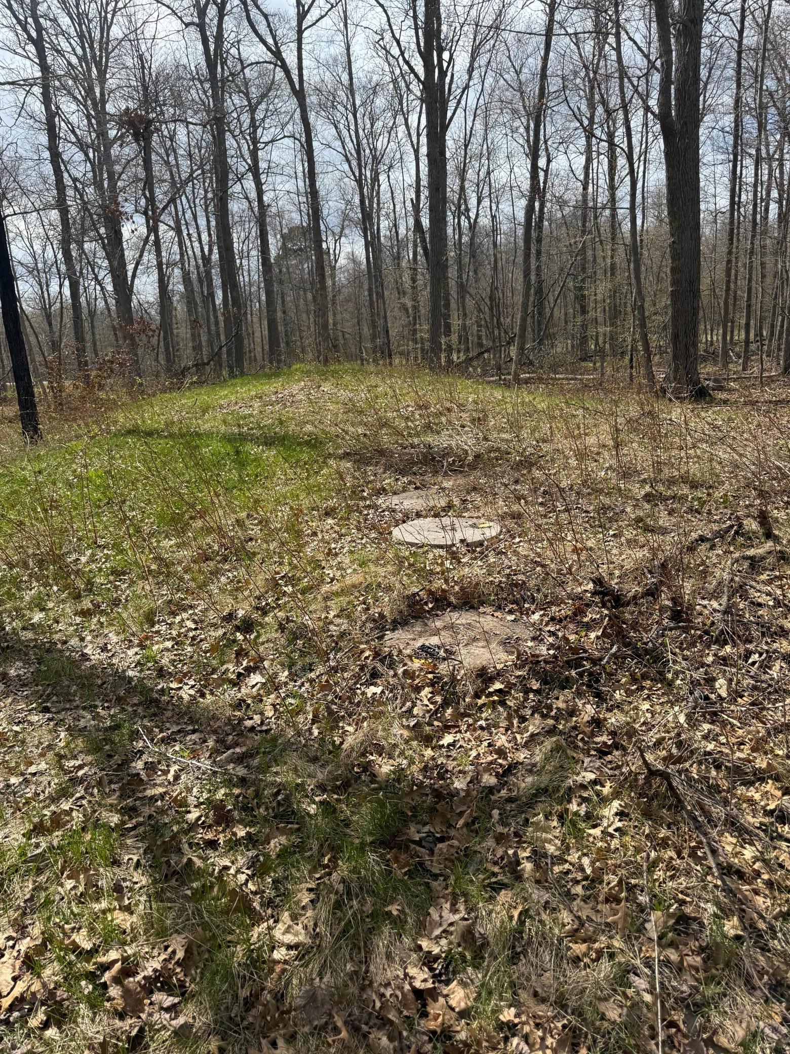 TBD County Road 16, Pequot Lakes, MN 56472 photo