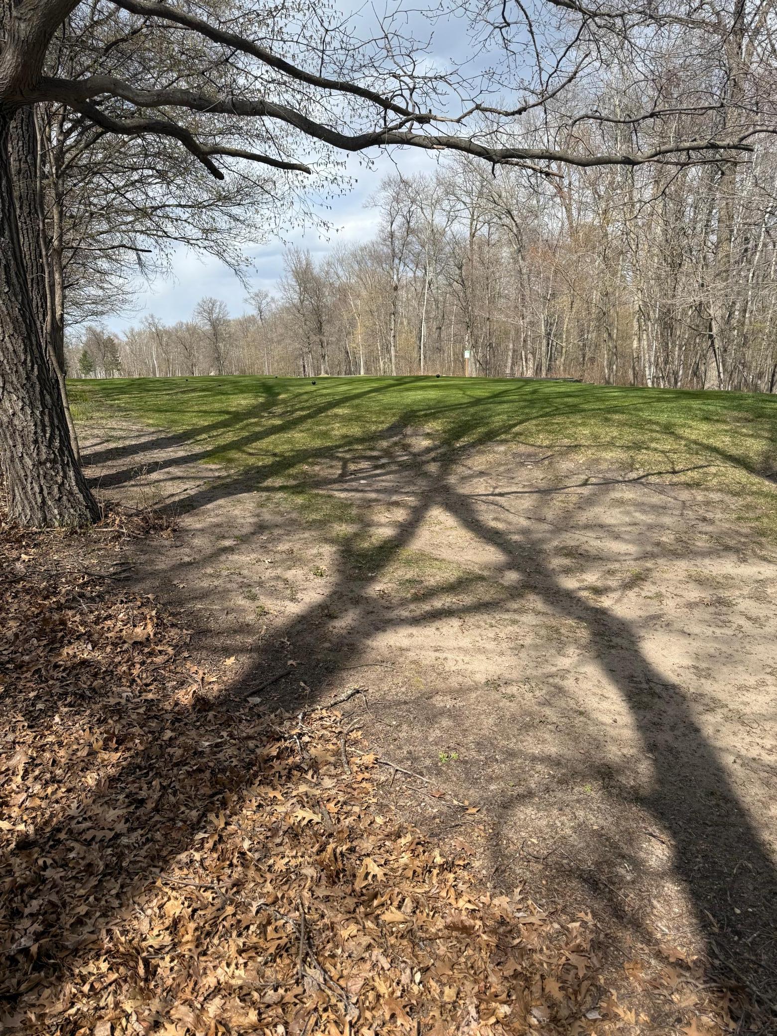 TBD County Road 16, Pequot Lakes, MN 56472 photo