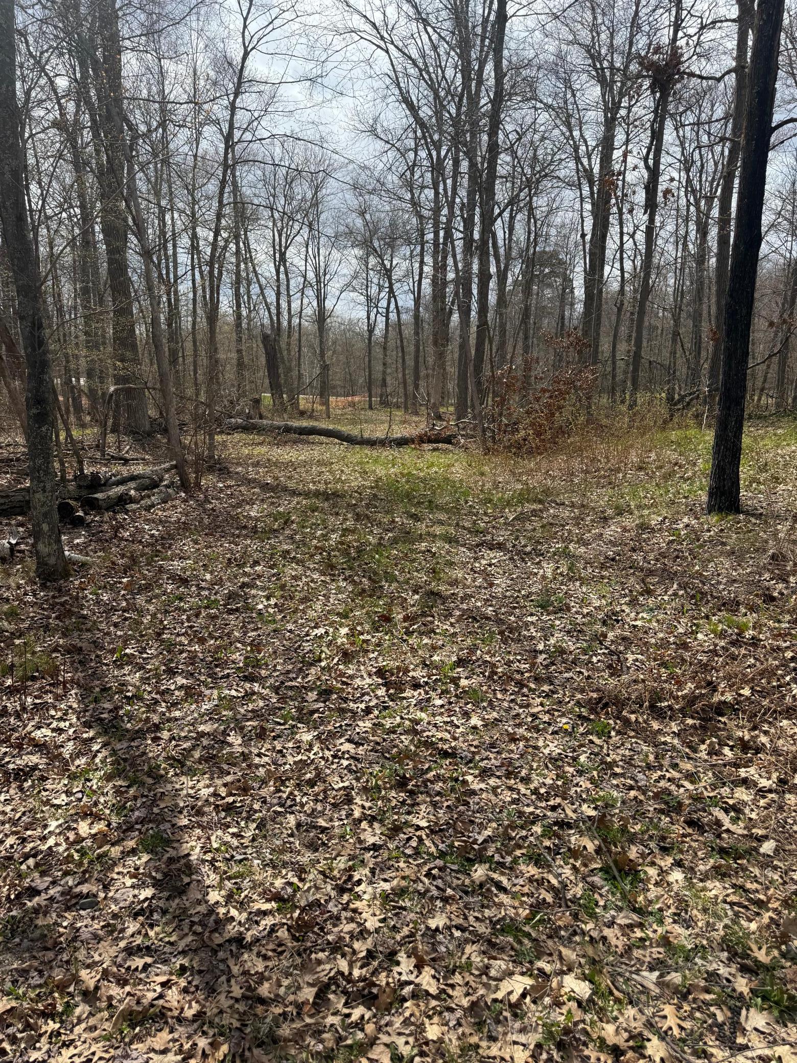 TBD County Road 16, Pequot Lakes, MN 56472 photo