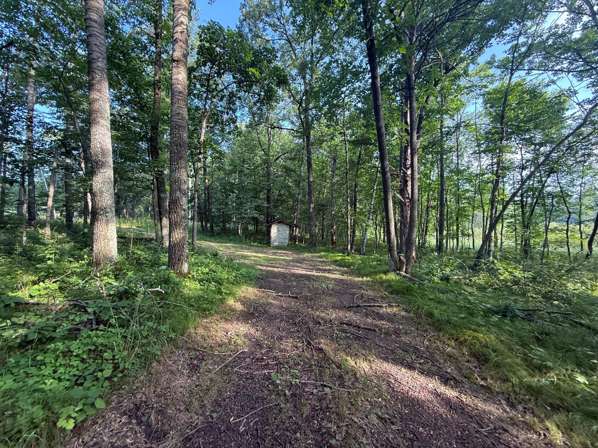 TBD Cr-109, Merrifield, MN 56465 photo