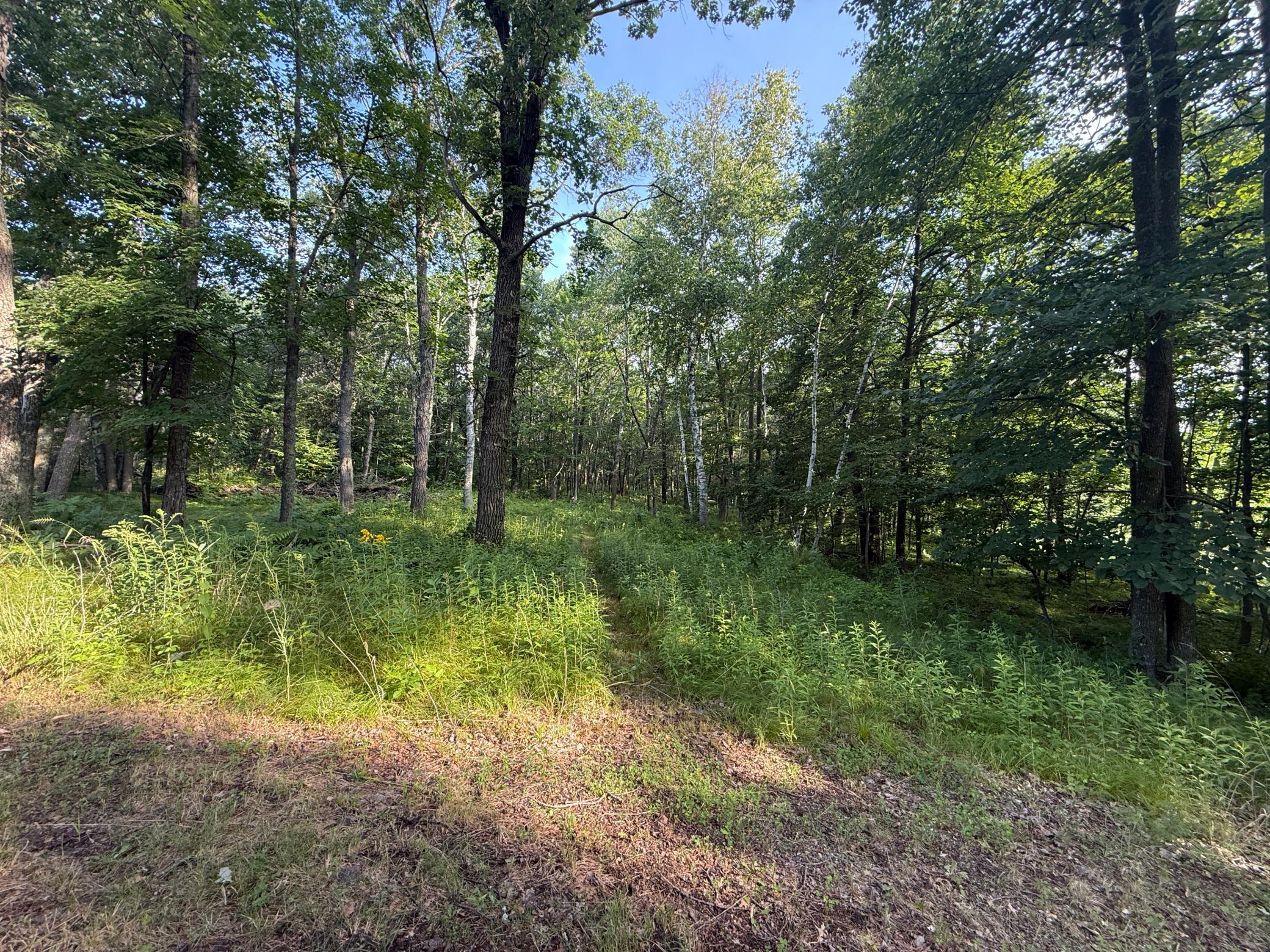 TBD Cr-109, Merrifield, MN 56465 photo