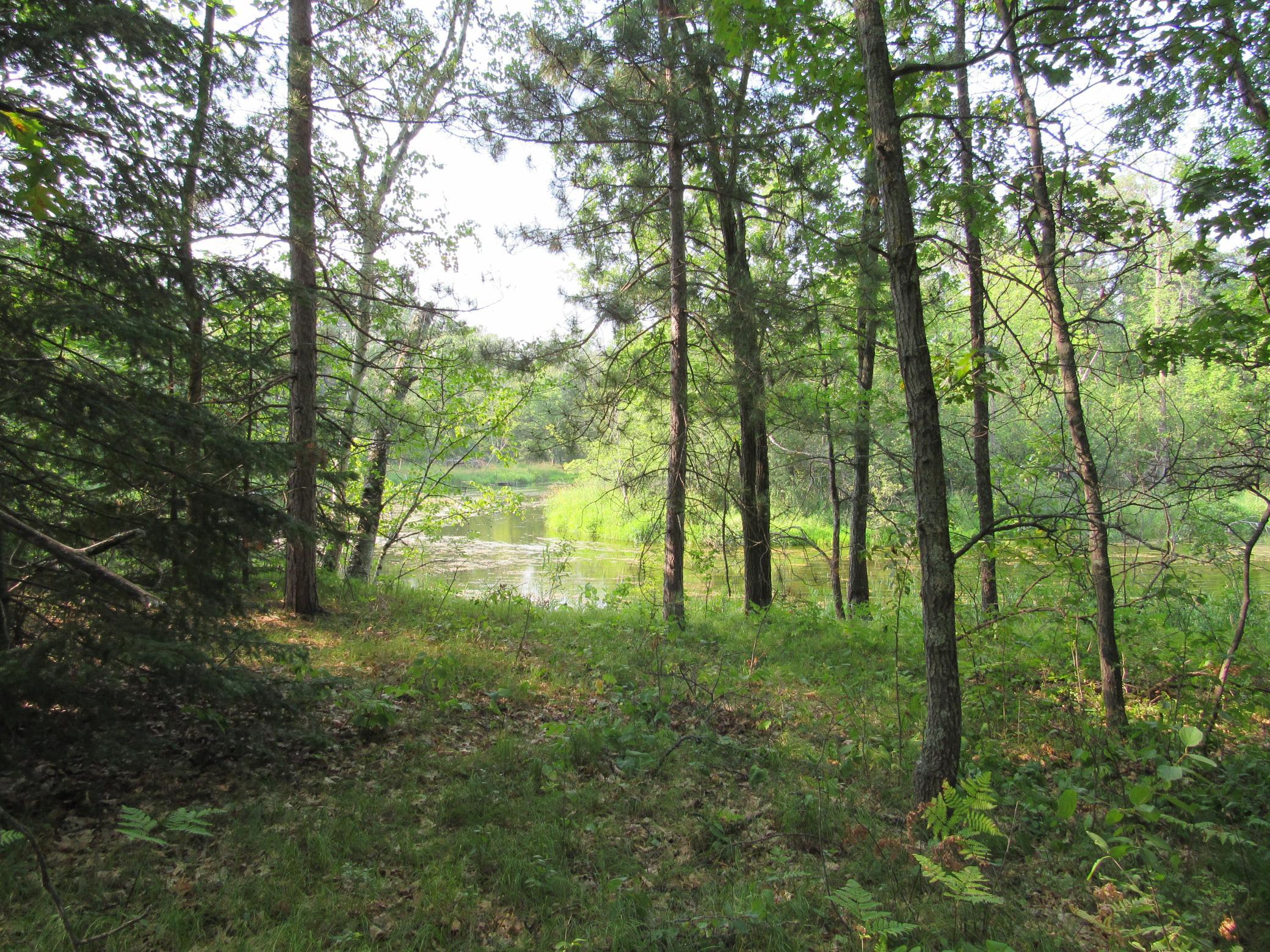 5 11 Tbd Front Street Front St, Pine River, MN 56474