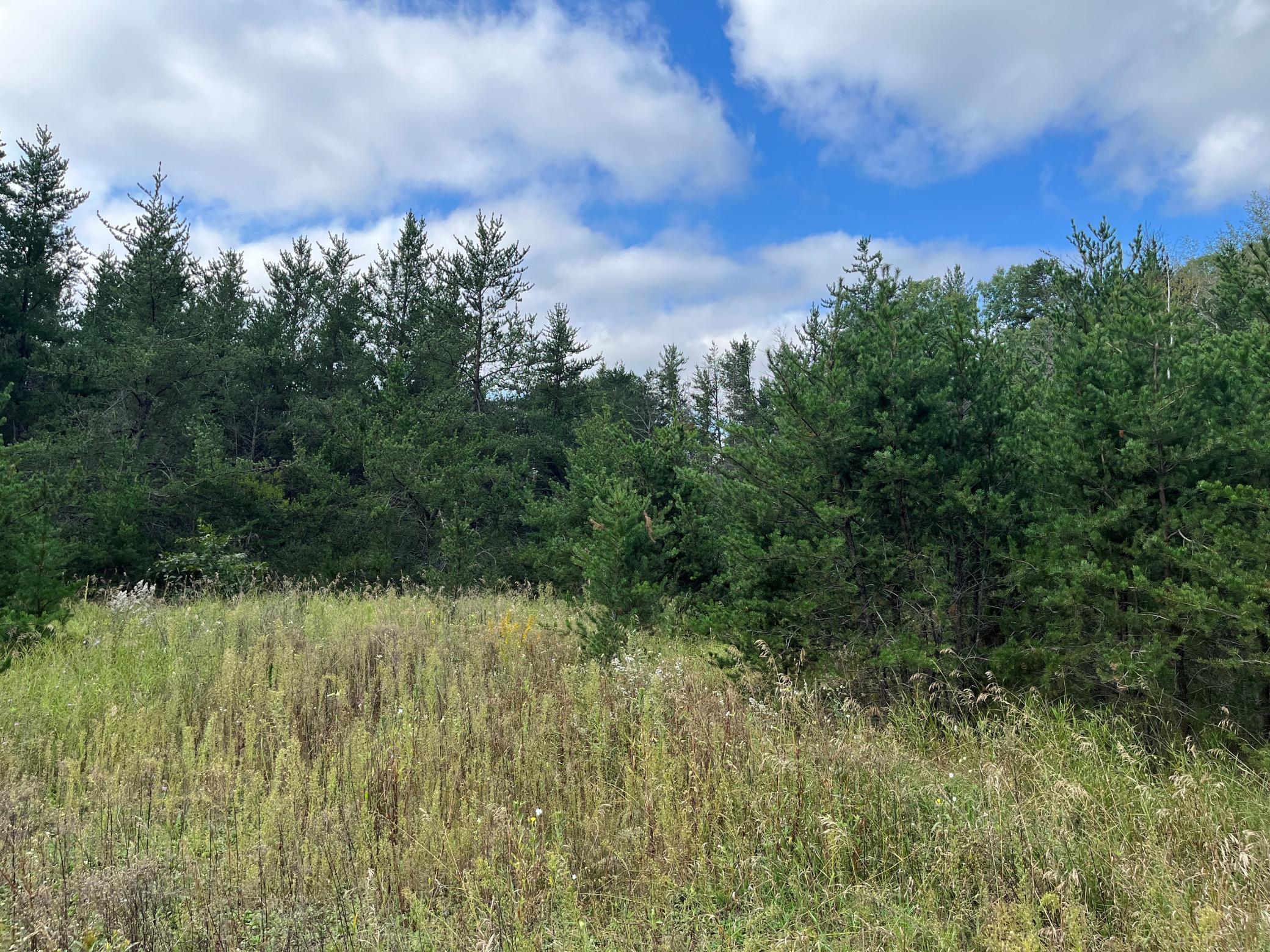 1707 Hassman Hill Tract D Rd, Pine River, MN 56474