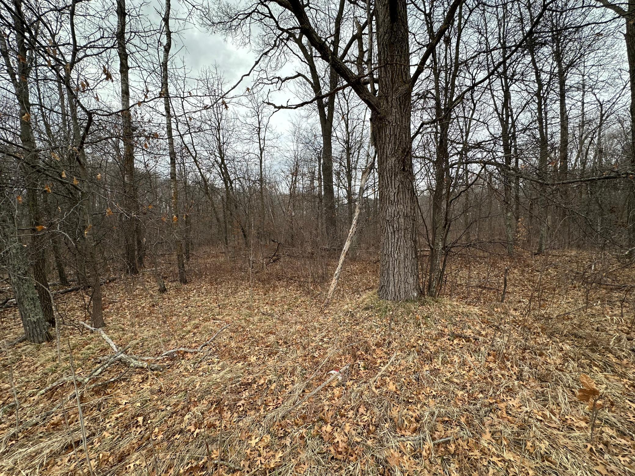 25 County Road 11, Breezy Point, MN 56472