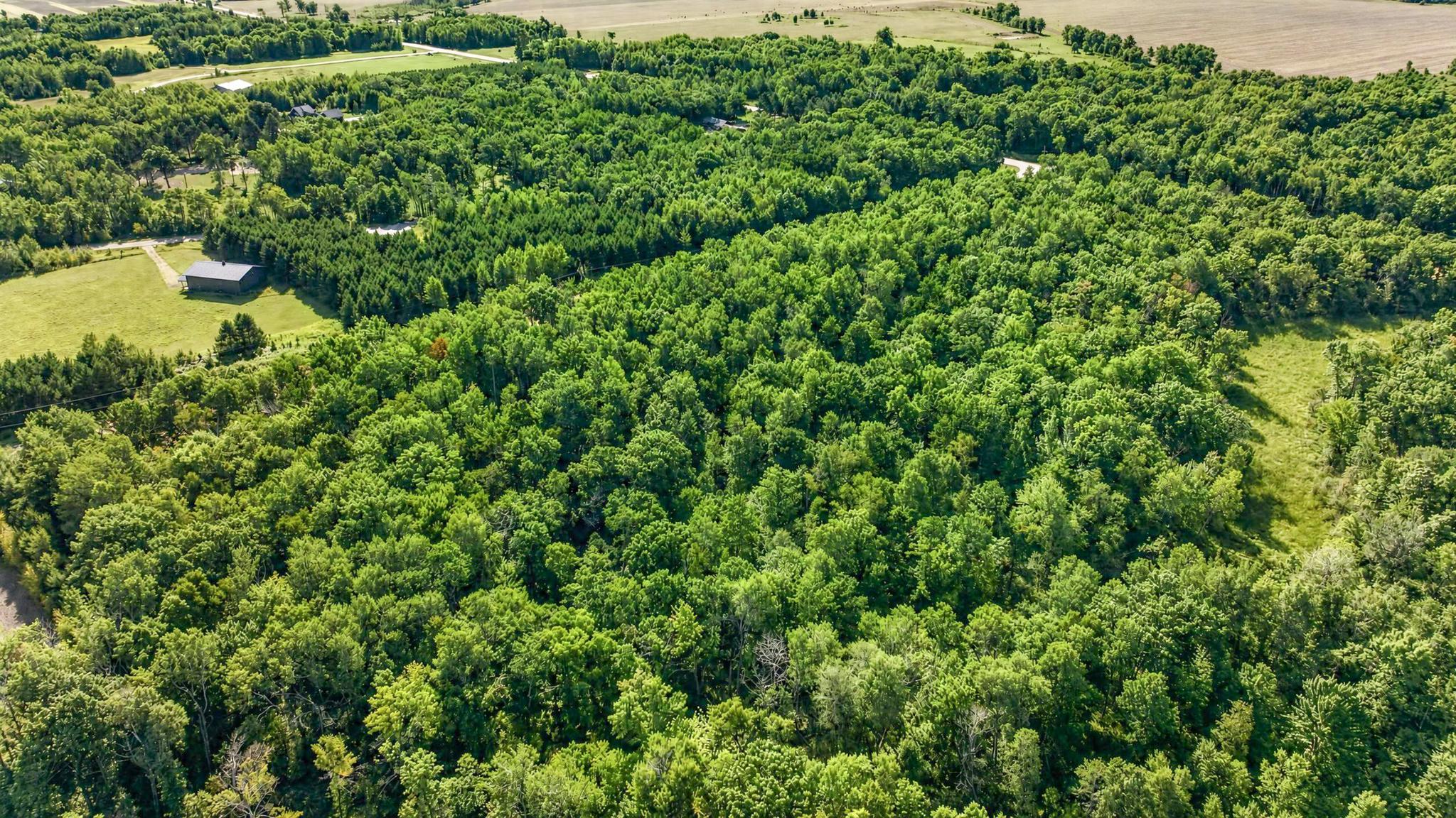 2 25th Ave #LOT, Pequot Lakes, MN 56472 photo