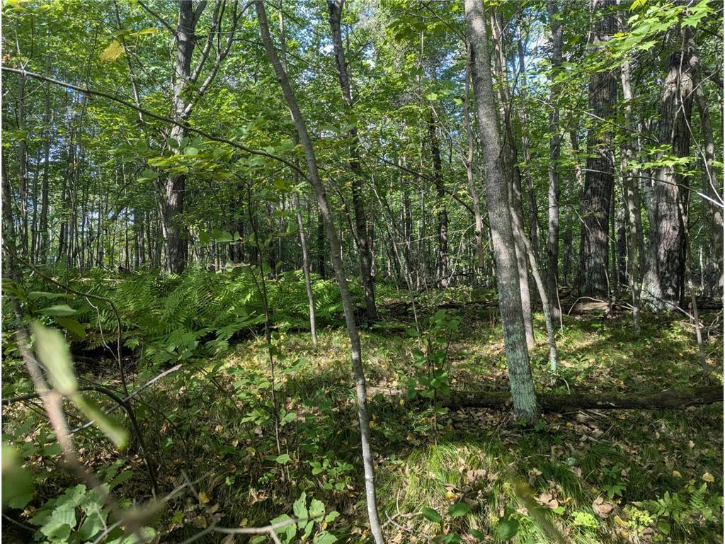 32 Shady Trl #L 23 B, Breezy Point, MN 56472 photo