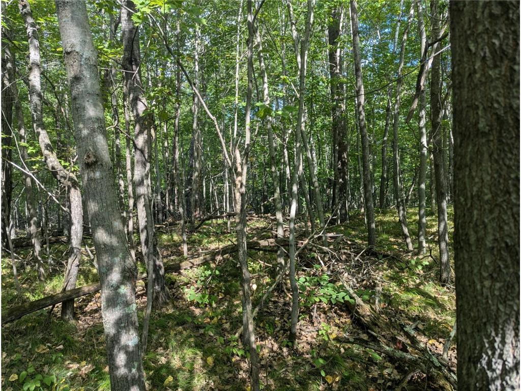 32 Shady Trl #L 23 B, Breezy Point, MN 56472 photo