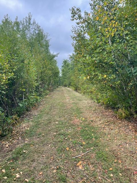 TBD Lacy Ln, Pequot Lakes, MN 56472
