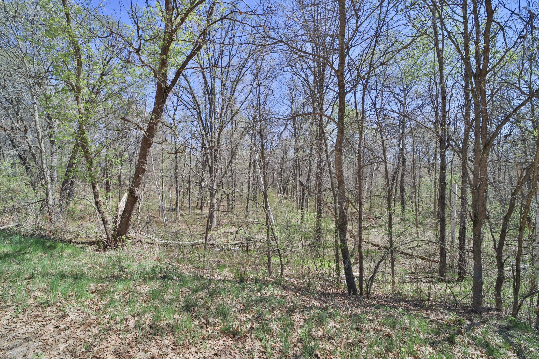TBD Cedar St, Breezy Point, MN 56472 photo