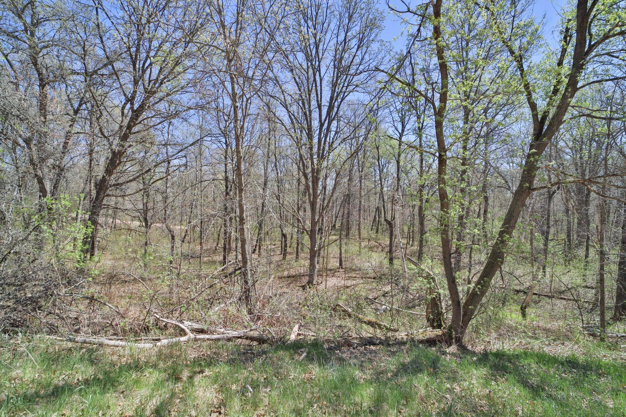 TBD Cedar St, Breezy Point, MN 56472 photo