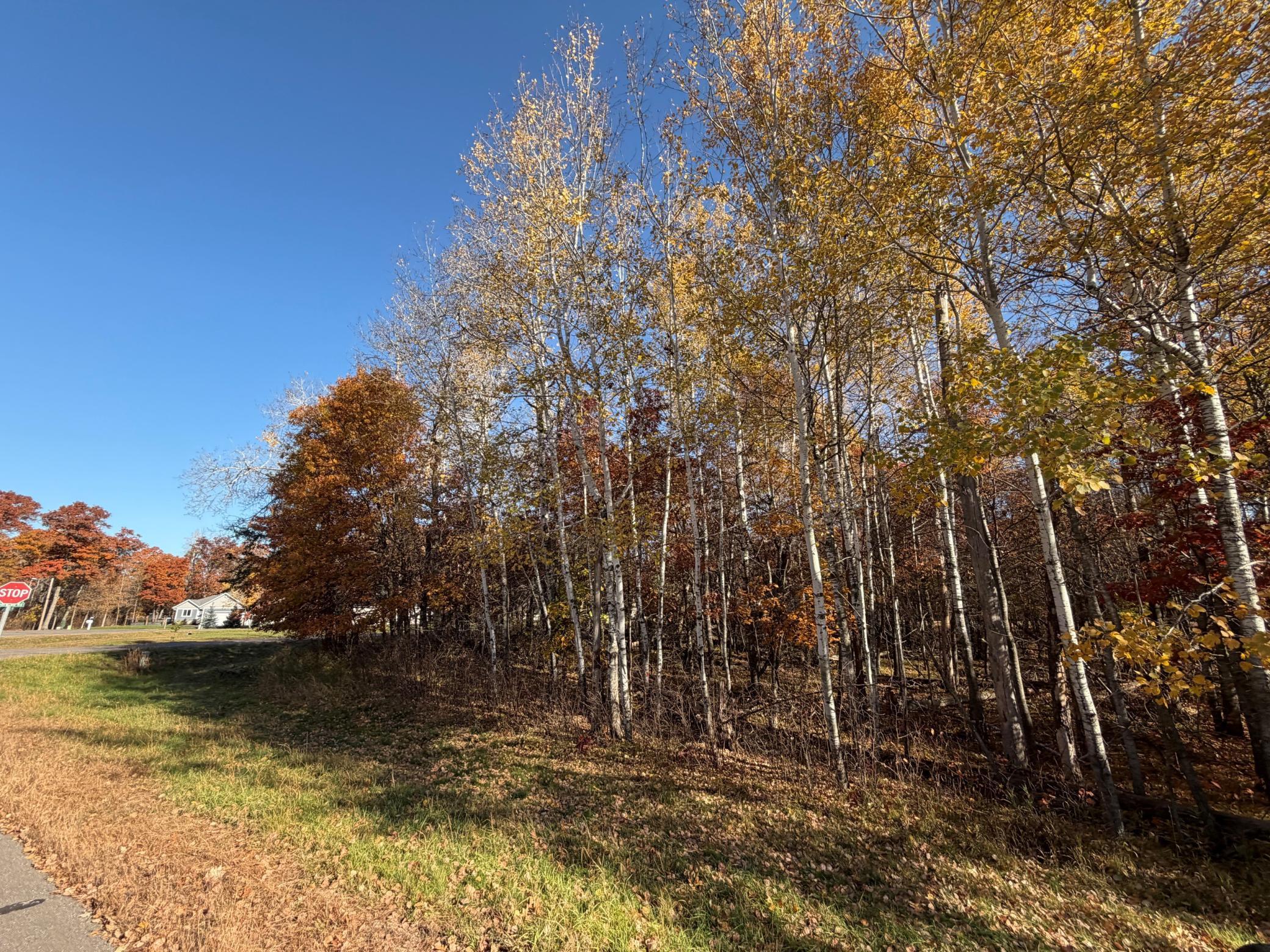 3 Paper Birch Dr, Baxter, MN 56425